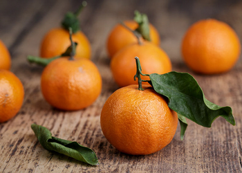 Citrus clementina